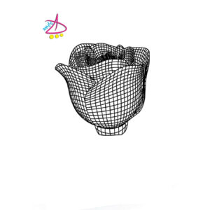 بالبینگ گل رز 2